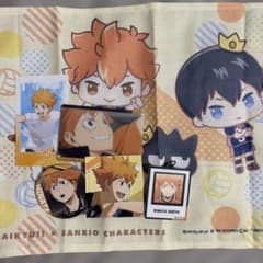 日向翔陽 まとめ売りのサムネイル