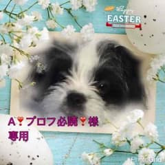 タオルでブーケのサムネイル