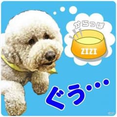 タコちゃんさん専用のサムネイル