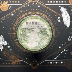 【9724】海外　5m巻　PETマスキングテープ　森　木　小道　自然背景系 9864】海外 5m巻 PETマスキングテープ 木 森林 背景系 - メルカリ