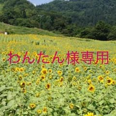 専用です。   PORTER ショルダーバックのサムネイル