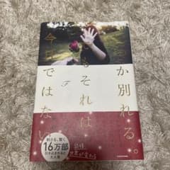 いつか別れる。でもそれは今日ではないのサムネイル