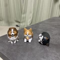 怒ったわんちゃん　ガチャガチャのサムネイル