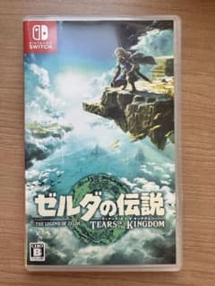 젤다의 전설 티어즈 오브 더 킹덤 티아킨 Switch