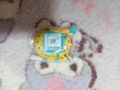 たまごっち　ガチャガチャ　ウラまめっちのサムネイル