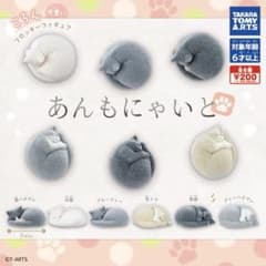 あんもにゃいと　猫ガチャ　セット売りのサムネイル
