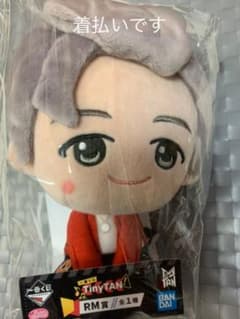 BTS tinytan1番くじ　RMのサムネイル
