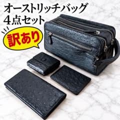 【訳あり】オーストリッチ調 バッグ 財布など4点セット 3点未使用のサムネイル
