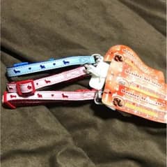 超小型犬用 首輪 SS 3点セットのサムネイル