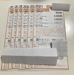 ナガシマスパーランド優待券 1名分の値段のサムネイル