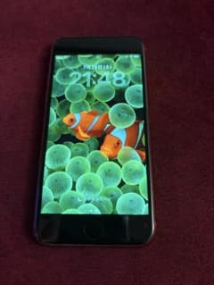 Apple iPhone SE 2세대 128GB 본체