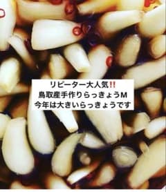 大人気‼️2026年製造分特製らっきょうMのサムネイル