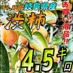 自宅用干し柿に最適！『渋柿』 4.5キロです☆彡のサムネイル
