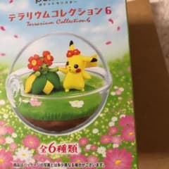 ポケモンテラリウムコレクション6のサムネイル