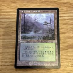 ゆ*ん様 MTG ラノワールの荒原 日本語版のサムネイル