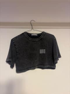 alexanderwang クロップド丈 Tシャツのサムネイル