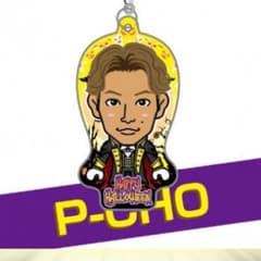P-CHO クリーナーのサムネイル