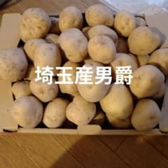 農薬不使用 新じゃがいも 男爵8kg 63個 野菜 産地直送 埼玉 - メルカリ
