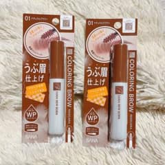 サナ ニューボーン カラーリングブロウマスカラ 01 2個セット - メルカリ