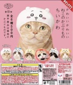 くりまんじゅう　ねこのかぶりもの　ちいかわのサムネイル
