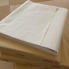 書道作品用紙　朝陽箋のサムネイル