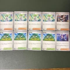 ミツルの思いやり×4 活力の森×4 アセロラのいたずら　トウコ