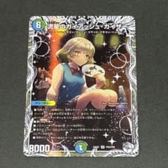 アーテルゴルギーニ　シークレット　シク　b　　4枚セット アーテルゴルギーニ シークレット シク b 4枚セット | Compre na