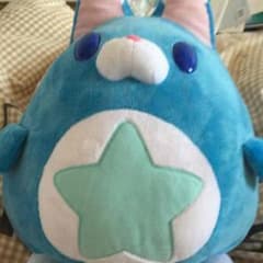 별 타누키 흰 고양이