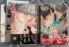 BLマンガ2冊セット　③のサムネイル