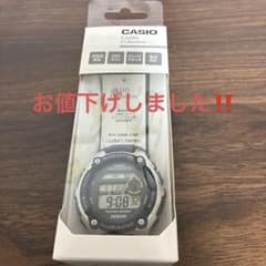 CASIO WAVE CEPTOR WV-200R-2AJFのサムネイル