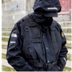Supreme The north face RTG ベストのサムネイル