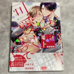 星ノビル先生 まとめ売り 商業BL もっと可愛くなっていい 星ノビル先生 - メルカリ