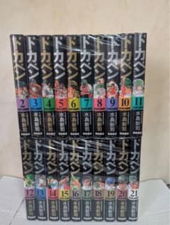 愛蔵版 ドカベン 1-21 全巻セット 水島新司 豪華版 ハードカバー 愛蔵版 ドカベン 1-21 全巻セット 水島新司 豪華版 ハードカバー