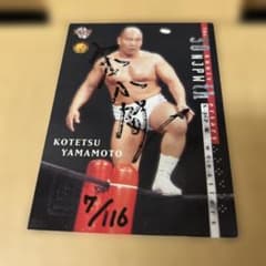 2002 BBM 新日本プロレス30周年 直筆サイン 山本小鉄 - メルカリ