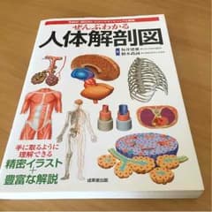ぜんぶわかる 人体解剖図のサムネイル
