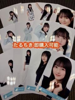 片山紗希 日向坂46 お願いバッハ 夏フェス サンタ 生写真 12種コンプ