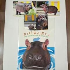 カバのまんぷくセット(とべ動物園時代)　クリアファイル&ポストカードのサムネイル