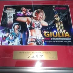スターダム　ジュリア　サイン入り　パネル　女子プロレス　シリアルナンバー スターダム ジュリア サイン入り パネル 女子プロレス シリアル