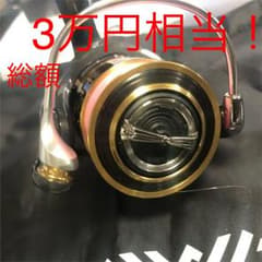 【美品】ダイワ セオリー 2004のサムネイル