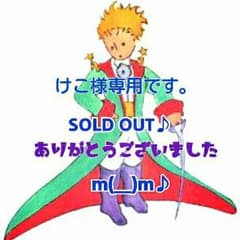 ★120【Polo by Ralph Lauren】カットソー♪のサムネイル