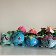 ポケモンぬいぐるみ　メガフシギバナ 51cUuFy4KhL._AC_UL210_SR210,