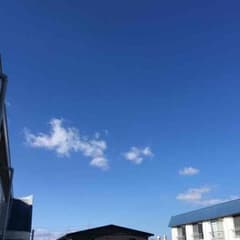オリーブ様専用のサムネイル