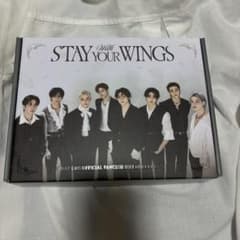 Stray Kids OFFICIAL FANCLUB 6TH KITのサムネイル
