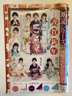 乃木坂46 櫻坂46 日向坂46 グラビアステッカー 切り抜き ヤンジャン付録のサムネイル