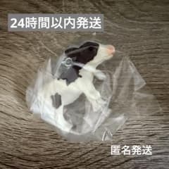 子ウシ アピるチャーム (カウベル付きの子ウシ)のサムネイル