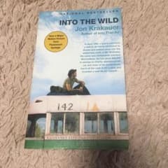 Into the wildのサムネイル