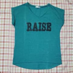 レデース　Tシャツ　Lサイズ