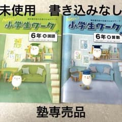 NEW小学生ワーク 6年 国語 算数 セットのサムネイル
