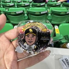 ソフトバンクホークス　松本晴のサムネイル
