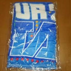 EXILE☆ビーチタオルのサムネイル
